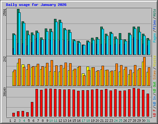 Daily usage for January 2026