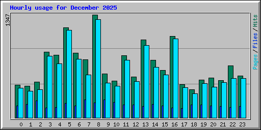 Hourly usage for December 2025