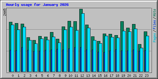Hourly usage for January 2026
